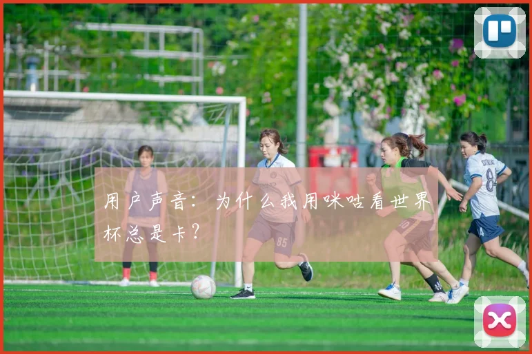 用户声音：为什么我用咪咕看世界杯总是卡？