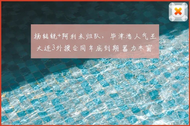杨铭锐+阿利米归队,毕津浩人气王 大连3外援合同年底到期 蓄力冬窗