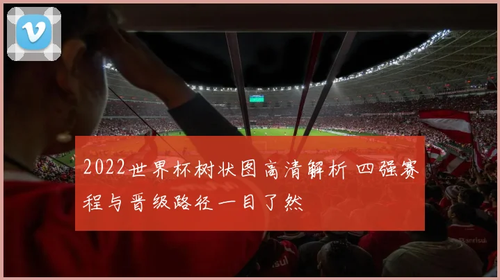 2022世界杯树状图高清解析 四强赛程与晋级路径一目了然