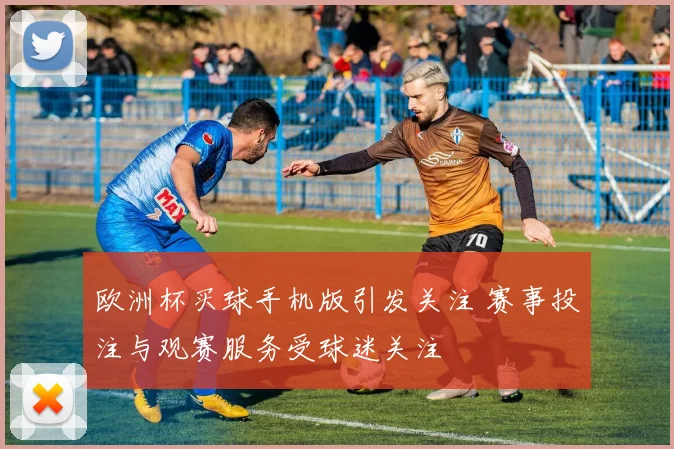 欧洲杯买球手机版引发关注 赛事投注与观赛服务受球迷关注