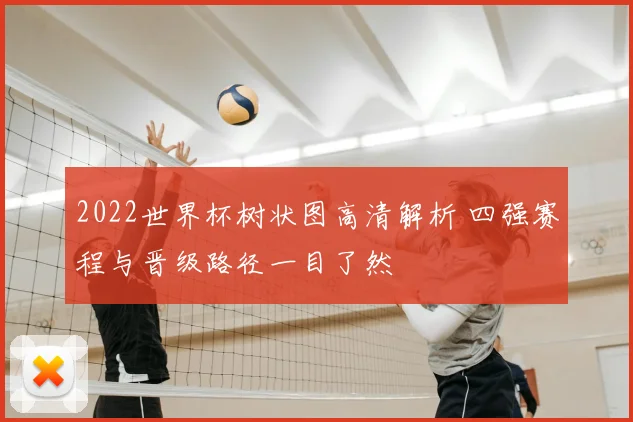 2022世界杯树状图高清解析 四强赛程与晋级路径一目了然