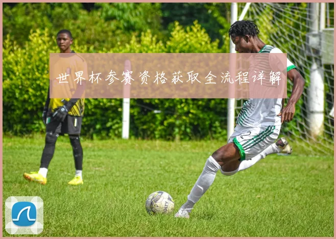 世界杯参赛资格获取全流程详解