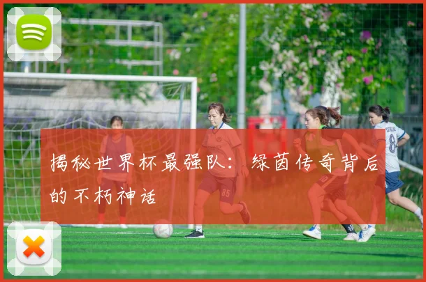 揭秘世界杯最强队:绿茵传奇背后的不朽神话